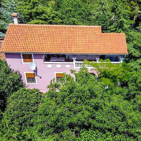 Amazing In Apartment *