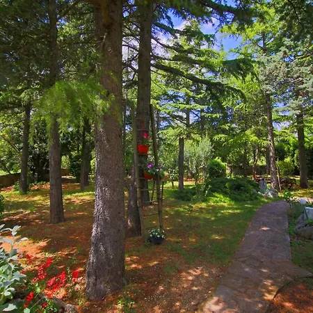 Amazing In Apartment Stalije